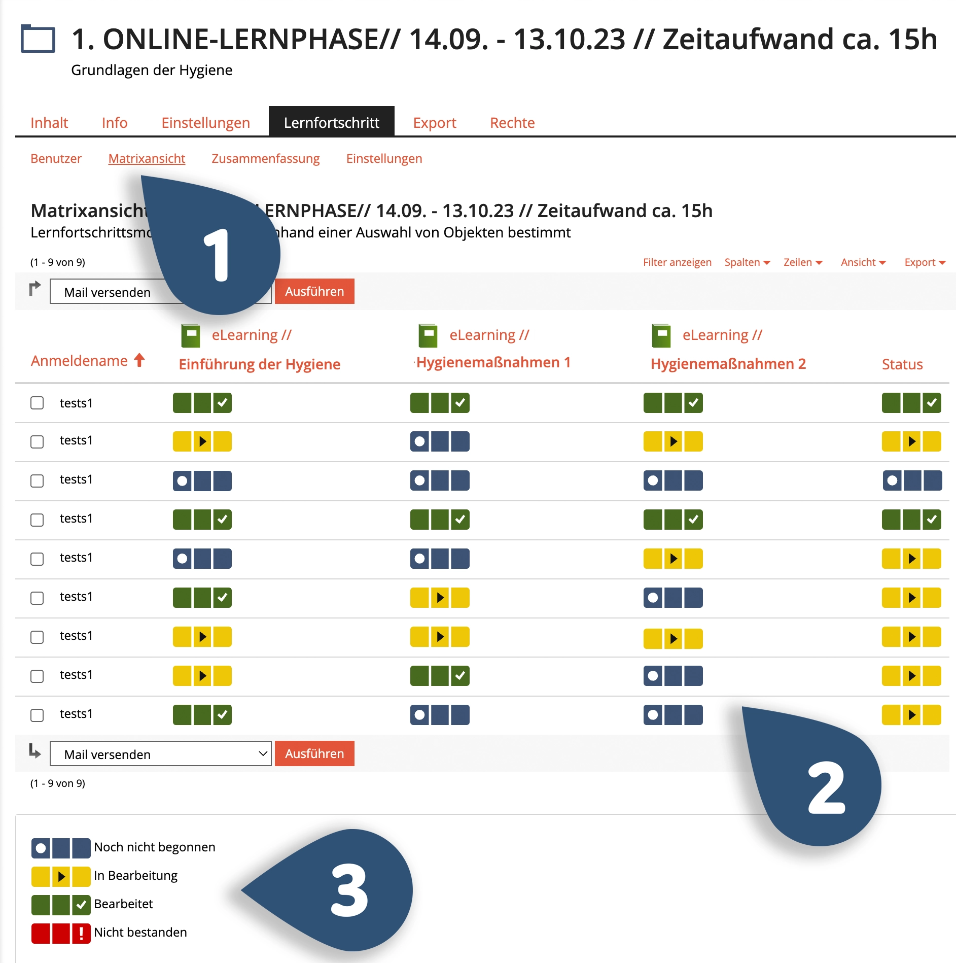 „Matrixansicht‘ unter Lernfortschritt