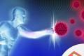 Open E-TRAINING // Immunologie
